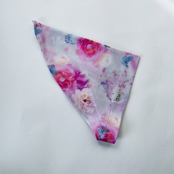 IMG_9999 Pearätt roosid ja liblikad