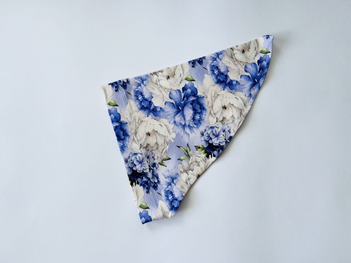 IMG_1783 Lillad pojengid