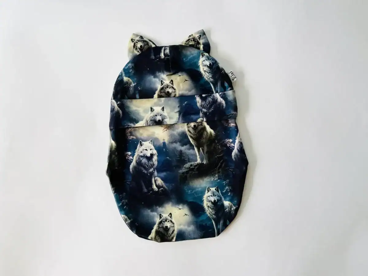 IMG_0202 Hundid kõrvadega