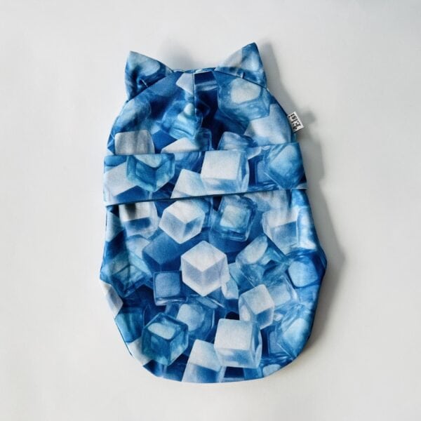 IMG_1328 Jääkuubikud kõrvadega