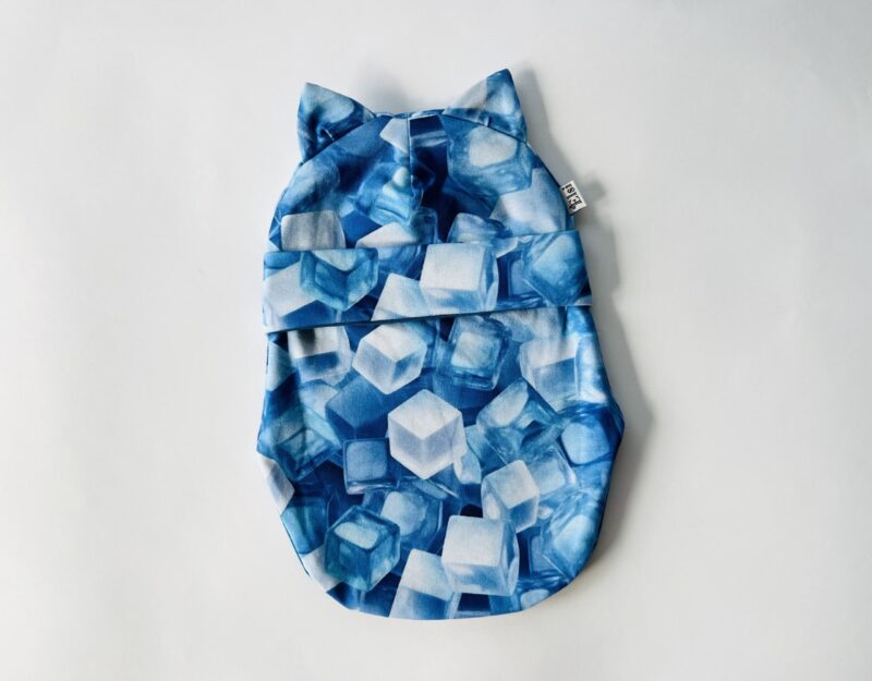 Jääkuubikud kõrvadega