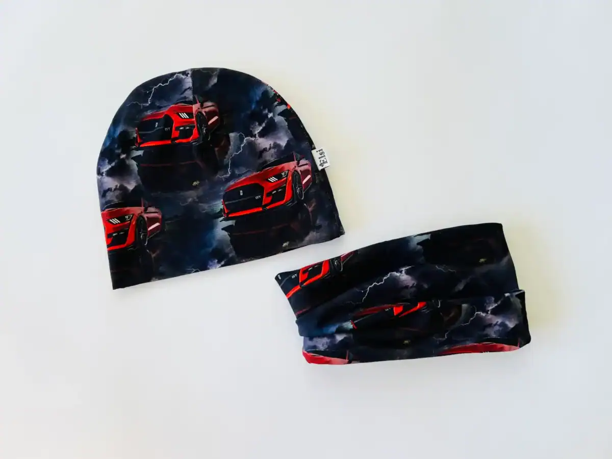 IMG_1547 Punased autod