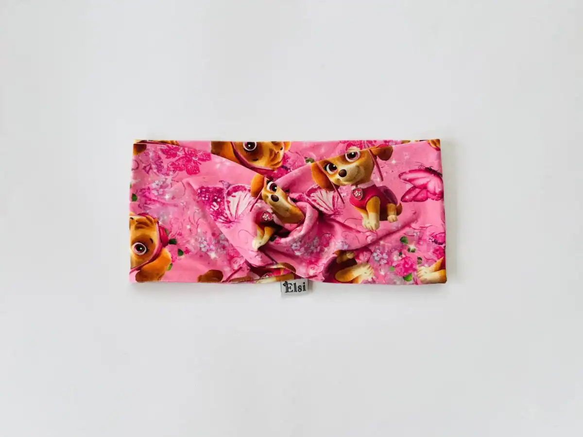 IMG_1716 Käpapatrull Sky