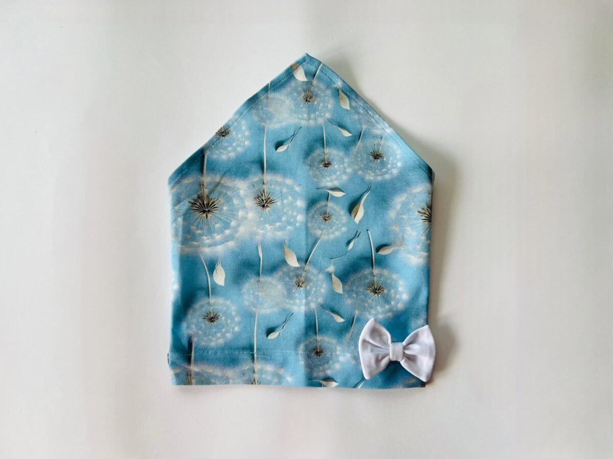 ED8F30D2-1DC1-48A2-AF03-7B6E2E793229 Pearätt võililled lipsuga