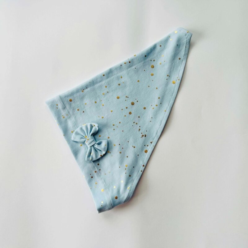 Pearätt helesinisel kuldsed täpid lipsuga