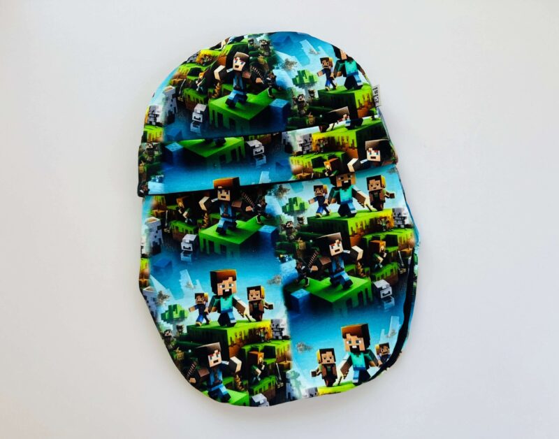 IMG_4092 Minecraft tegelased